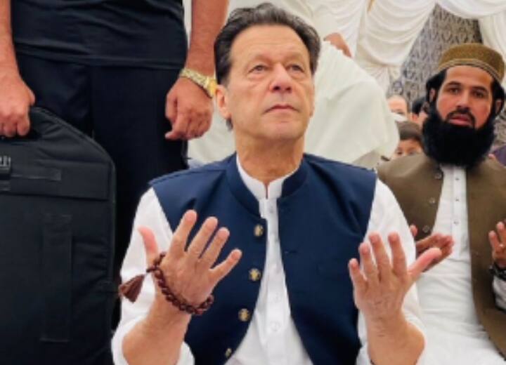 Medical report declares Imran Khan alcoholic drug abuser Imran Khan: 'कोकीन और शराब का सेवन करते हैं इमरान खान', मेडिकल रिपोर्ट में हुआ खुलासा