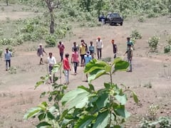 इछावर के मोयापानी गांव में फैला तेंदूए का आतंक, बच्ची समेत पांच लोगों को किया घायल