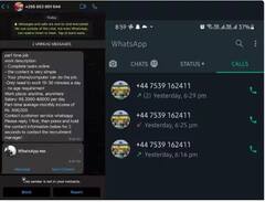 WhatsApp ਸਕੈਮ 'ਚ ਫਸ ਕੇ ਭਾਰਤੀਆਂ ਨੇ ਗੁਆਏ ਲੱਖਾਂ ਰੁਪਏ, ਇੰਝ ਰੱਖੋ ਸੁਰੱਖਿਅਤ