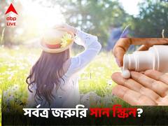 শুধু বাইরে নয়, ঘরেও দরকার সান স্ক্রিন, মানেন অনেকেই