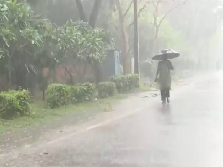 Weather Forecast Chances of Rain for Next 3 hours Tamil Nadu 21 district TN Rain Alert: அடுத்த 3 மணிநேரத்தில் 21 மாவட்டங்களில் இடி, மின்னலுடன் மழை வாய்ப்பு... எங்கெல்லாம்?