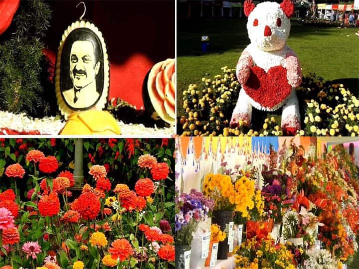 Kodaikanal Flower Show 2023 Started Today Summer Festival Dindigul News-TNN Kodaikanal Flower Show: கொடைக்கானலில் 60-வது மலர்க்கண்காட்சி கோடை விழா கோலாகல தொடக்கம்