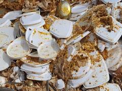 छत्रपती संभाजीनगरच्या शासकीय कार्यक्रमात मोठ्या प्रमाणावर जेवणाची नासाडी, जनतेच्या पैशाची अशीही उधळपट्टी?; फोटो व्हायरल