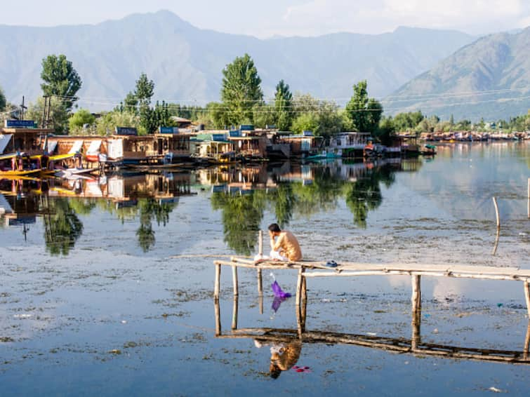 Kashmir Dead Fishes Float Srinagar Dal Lake Blame Game Between Lake Authorities Locals After G20 Summit Kashmir: Dead Fishes Float In Dal Lake After G20 Beautification, Locals Blame Authorities