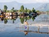 Kashmir: Dead Fishes Float In Dal Lake After G20 Beautification, Locals Blame Authorities