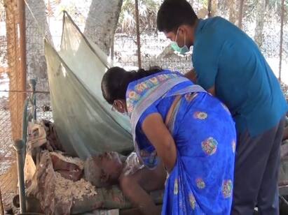 Nellai crime news Pig farm owner killed for money Relative arrested in nellai TNN Crime: பணத்திற்காக கொல்லப்பட்ட பன்றி பண்ணை உரிமையாளர் உறவினர் கைது - நெல்லையில் பரபரப்பு