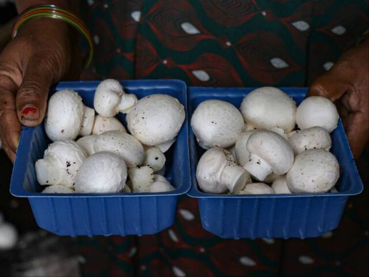 8 Of Family Fall Ill After Eating ‘Poisonous’ Mushrooms In Assam’s Sivasagar 