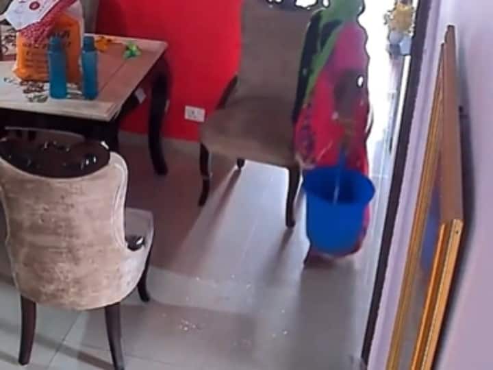 Maid of house wipes the bucket after urinating in Greater Noida Police arrested after video viral Watch: नौकरानी की शर्मनाक हरकत, बाल्टी में पेशाब कर उसी से लगाया पोछा- वीडियो वायरल होने के बाद गिरफ्तार