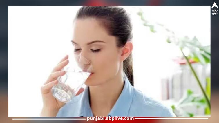 health-tips-how-much-water-you-should-drink-per-day-details-inside ਗਰਮੀਆਂ ਦੇ ਮੌਸਮ 'ਚ ਰੋਜ਼ਾਨਾ ਇੰਨਾ ਪਾਣੀ ਪੀਣਾ ਹੈ ਸਹੀ, ਸਿਰਫ ਹਾਈਡ੍ਰੇਟ ਹੀ ਨਹੀਂ ਸਗੋਂ  ਕਿਡਨੀਆਂ ਦੀਆਂ ਗੰਭੀਰ ਬਿਮਾਰੀਆਂ ਵੀ ਹਮੇਸ਼ਾ ਰਹਿੰਦੀਆਂ ਨੇ ਦੂਰ