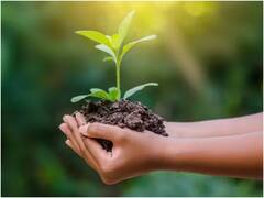 छत्तीसगढ़ में 5 लाख लोग एकसाथ लेंगे पर्यावरण संरक्षण की शपथ, विश्व रिकॉर्ड बनाने की तैयारी, जानें- पूरा शेड्यूल