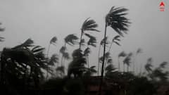 Storm Alerts: কলকাতায় ঝড়-বৃষ্টি শুরু, আরও কোন কোন জেলাতে সতর্কবার্তা হাওয়া অফিসের ?