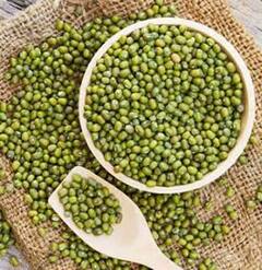 મગ સ્વાસ્થ્યલક્ષી ગુણોનો છે ભંડાર, ખાવાથી શરીરને પહોંચે છે આ ગજબ ફાયદા