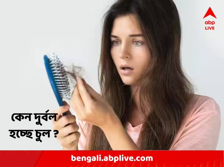 Health News : These habits are making your hair weak and lifeless Hair Care : শুধু ধূলো-বালি নয়, এই বদভ্যাসগুলি চুলকে দুর্বল ও প্রাণহীন করে তোলে !