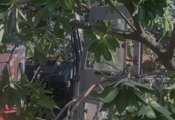 यानंतर फूटपाथच्या बाजूला असलेल्या झाडावर जाऊन आदळली.