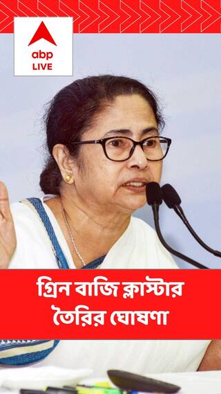 বেআইনি বাজি কারখানা রাজ্যের যেখানে, সেখানে গ্রিন বাজি ক্লাস্টার তৈরি করবে সরকার, ঘোষণা মমতার