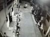 Nashik Crime : नाशिक शहरात कोयता गँगचा हैदोस, चारचाकी, रिक्षा आणि दुचाकींची तोडफोड