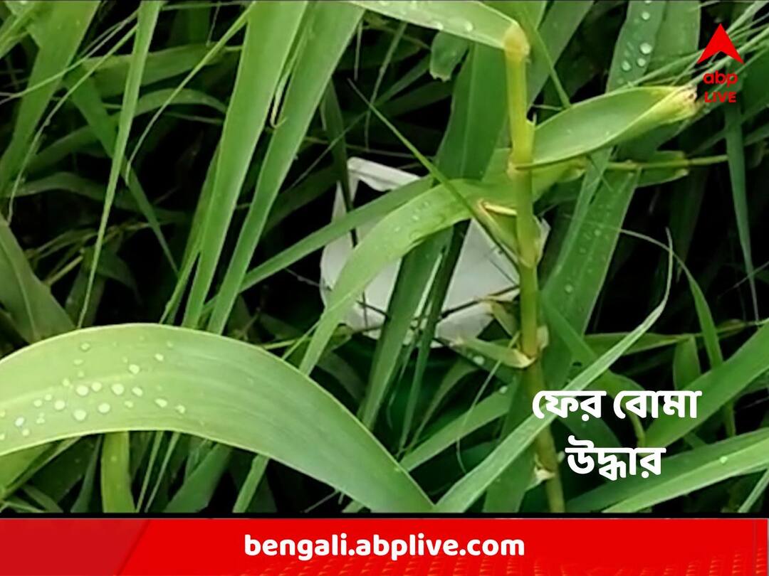 Birbhum News : Almost thirty bombs recovered from Plastic drum at Luvpur Birbhum : বারুদের স্তূপে বীরভূম, এবার লাভপুরে প্লাস্টিকের ড্রাম ভর্তি বোমা উদ্ধার