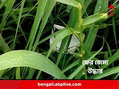 বারুদের স্তূপে বীরভূম, এবার লাভপুরে প্লাস্টিকের ড্রাম ভর্তি বোমা উদ্ধার