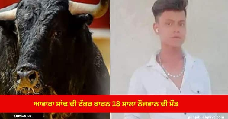 18-year-old youth died due to a collision with Stray Bullin Panipat, another was seriously injured ਆਵਾਰਾ ਸਾਂਢ ਦੀ ਟੱਕਰ ਕਾਰਨ 18 ਸਾਲਾ ਨੌਜਵਾਨ ਦੀ ਮੌਤ, ਦੂਜਾ ਗੰਭੀਰ ਜ਼ਖਮੀ