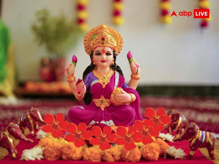 शुक्रवार के दिन मां लक्ष्मी को 5 लाल रंग के गुड़हल फूल चढ़ाकर पूजा करें. इससे धन में वृद्धि होगी.