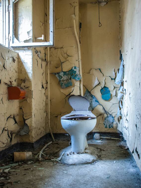 अगर टॉयलेट गंदा है तो हो सकती हैं ये बीमारियां!