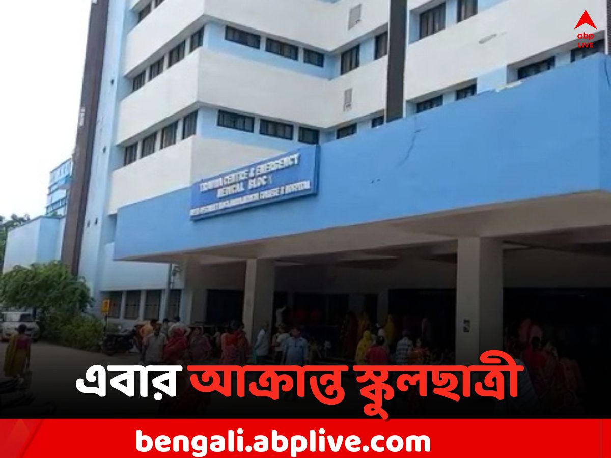Malda News: ছিনতাইয়ে 'বাধা', স্কুল ছাত্রীকে ধারালো অস্ত্র দিয়ে হামলা