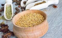 Mustard Seeds Benefits: গুণে ঘাটতি নেই সরষের, রোজ পাতে না রাখলেই নয়