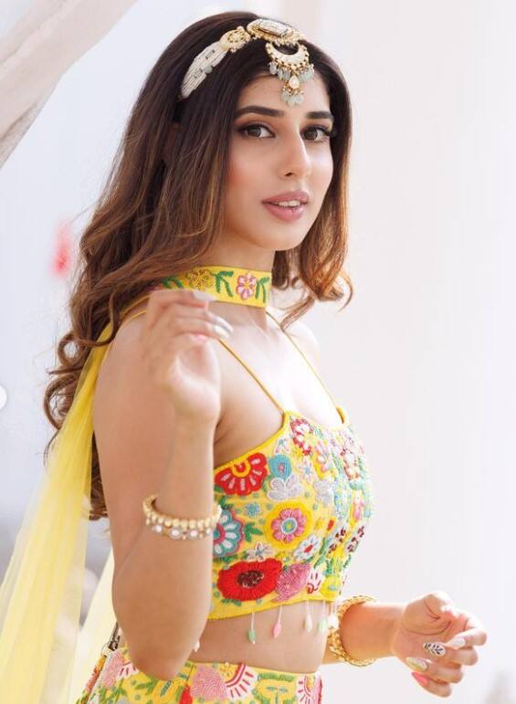 ਜੈਸਮੀਨ ਬਾਜਵਾ ਕਰੇਗੀ ਐਮੀ ਵਿਰਕ ਨਾਲ ਰੋਮਾਂਸ