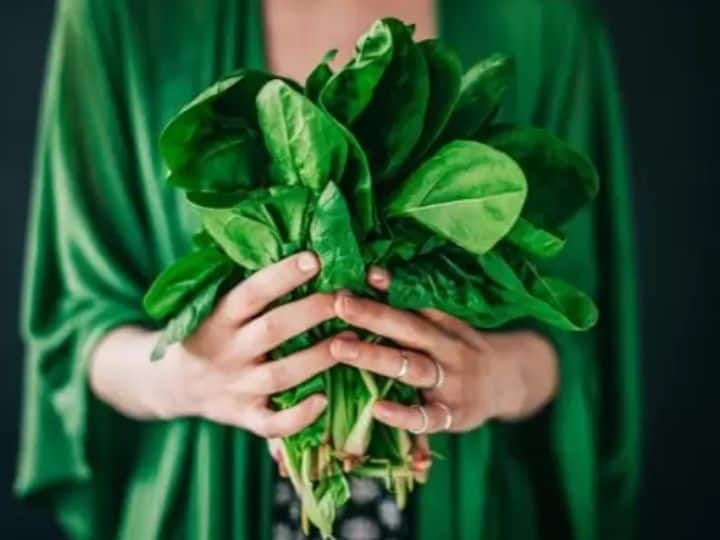 This is the worlds most expensive greens one kilo has to pay this much ये है दुनिया का सबसे महंगा साग, अगर एक किलो भी खरीदना है तो चाहिए इतने पैसे