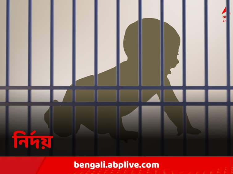 North Korea allegedly jailed a two year old for life imprisonment Viral News: মা-বাবার ধর্মাচরণের দায় ছেলের! ২ বছরের শিশুকে যাবজ্জীবনের সাজা, স্তম্ভিত গোটা বিশ্ব