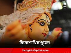 শিল্প সংস্কৃতি নিয়ে সাজবে 'বসুন্ধরা', বাংলার থিম সংস্কৃতি এবার মার্কিন মুলুকেও