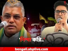 'দুদিন আগেই তো আমার বাড়ি আক্রমণের কথা বলছিলেন..', অভিষেক কনভয়ে হামলায় পাল্টা দিলীপ