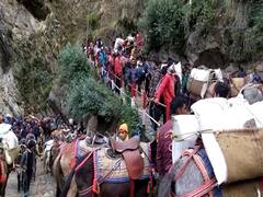 केदारनाथ यात्रा में चलने वाले घोड़े-खच्चर की लीद आएगी काम, केदारघाटी के लोगों को मिलेगा रोजगार