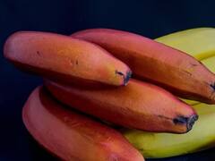 Red Banana: ਪੀਲੇ ਤੇ ਹਰੇ ਕੇਲੇ ਤੋਂ ਵੱਧ ਫਾਇਦੇਮੰਦ ਹੁੰਦਾ 'ਲਾਲ ਕੇਲਾ', ਇਨ੍ਹਾਂ ਬਿਮਾਰੀਆਂ ਤੋਂ ਰੱਖੇਗਾ ਦੂਰ