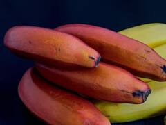 Red Banana: ਪੀਲੇ ਤੇ ਹਰੇ ਕੇਲੇ ਤੋਂ ਵੱਧ ਫਾਇਦੇਮੰਦ ਹੁੰਦਾ 'ਲਾਲ ਕੇਲਾ', ਇਨ੍ਹਾਂ ਬਿਮਾਰੀਆਂ ਤੋਂ ਰੱਖੇਗਾ ਦੂਰ