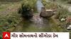 Gir Somnath : ગીર સોમનાથના ખેડૂતો માટે સારા સમાચાર, જુઓ સમગ્ર બાબત