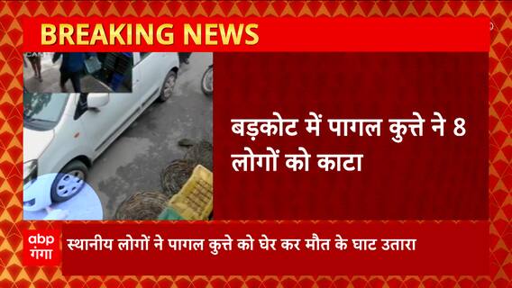 Barkot में पागल कुत्ते ने आठ लोगों को काटा, स्थानीय लोगों ने कुत्ते को उतारा मौत के घाट। Uttarakhand