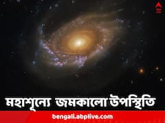 জন্ম নিচ্ছে নয়া নক্ষত্র, অথচ শান্ত-স্থিতধী অবস্থান তার, ‘জেলিফিশ’ ছায়াপথের চোখ ধাঁধানো ছবি প্রকাশ করল নাসা
