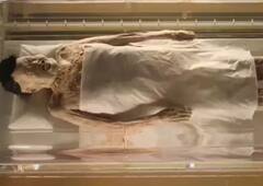 Viral News: 2000 ਸਾਲ ਪੁਰਾਣੀ ਡਰਾਵਨੀ ਮਮੀ ਦੀ ਨਸਾਂ ‘ਚ ਖ਼ੂਨ, ਇਸ ਰਹੱਸ ਨੇ ਦੁਨੀਆ ਨੂੰ ਕੀਤਾ ਹੈਰਾਨ