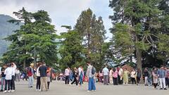 In Pics: शिमला में उमड़ा सैलानियों का हुजूम! पर्यटकों से गुलजार हुआ बाजार, देखें तस्वीरें