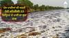 Punjab Water: ਪੰਜ ਪਾਣੀਆਂ ਦੀ ਧਰਤੀ ਹੋਈ ਜ਼ਹਿਰੀਲੀ! 13 ਜ਼ਿਲ੍ਹਿਆਂ ਦੇ ਪਾਣੀ ਦਾ ਬੁਰਾ ਹਾਲ, ਕੇਂਦਰ ਸਰਕਾਰ ਵੀ ਅਲਰਟ, ਜੀਐਸਆਈ ਕਰੇਗਾ ਸਰਵੇਖਣ