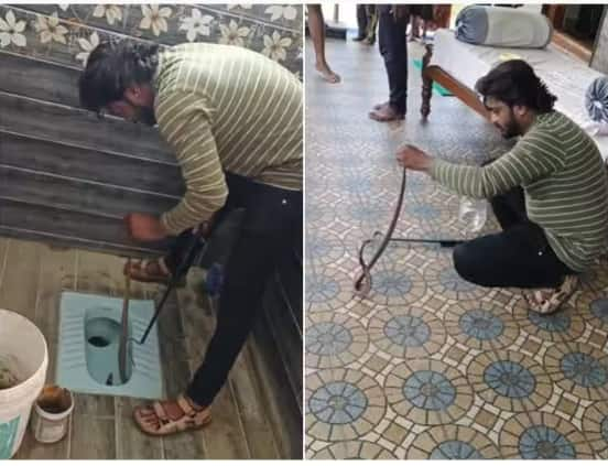 man rescues king cobra hidden in toilet seat in viral video ਜਦੋਂ ਟਾਇਲਟ ਸੀਟ 'ਚ ਮਿਲਿਆ ਕਿੰਗ ਕੋਬਰਾ, ਸ਼ਖਸ ਨੇ ਇੰਝ ਕੀਤਾ ਕਾਬੂ...ਕਮਜ਼ੋਰ ਦਿਲ ਵਾਲੇ ਨਾ ਹੀ ਵੇਖਣ ਇਹ ਵੀਡੀਓ