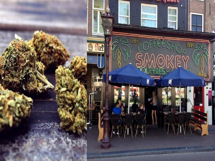 Amsterdam Enforces Ban On Smoking Cannabis In Public know more details here Ban On Cannabis: இனி பொது இடங்களில் கஞ்சா புகைக்கத் தடை.. நெதர்லாந்தில் அமலுக்கு வந்த புதிய விதி...!