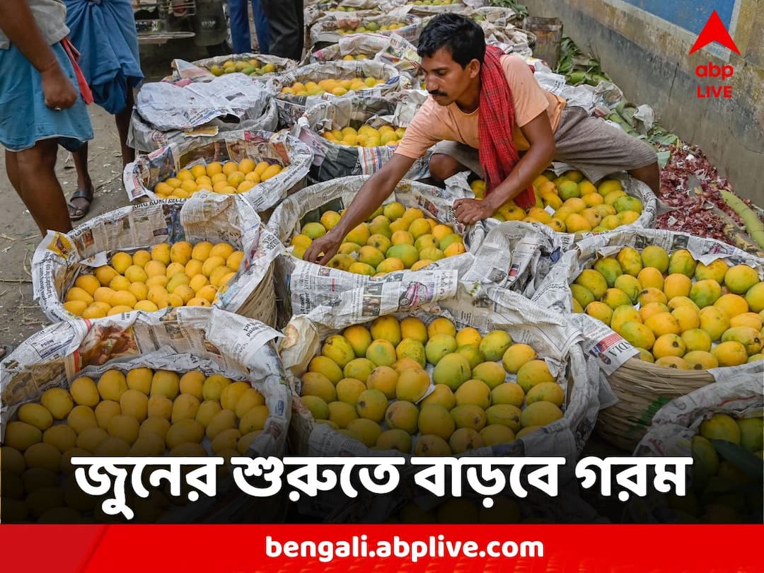 The temperature of South Bengal will increase again from Tuesday Weather Update: একাধিক জেলায় বইতে পারে লু, আগামী সপ্তাহে ফের বাড়বে তাপমাত্রা