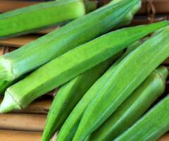 ਭਿੰਡੀ ਨੂੰ ਸਿਰਫ ਸਬਜ਼ੀ ਨਾ ਸਮਝ ਬੈਠਿਓ, ਸਿਹਤ ਲਈ ਫਾਇਦੇ ਜਾਣ ਕੇ ਹੋ ਜਾਓਗੇ ਹੈਰਾਨ