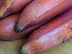 Red Banana: ਪੀਲੇ ਤੇ ਹਰੇ ਕੇਲੇ ਤੋਂ ਵੱਧ ਫਾਇਦੇਮੰਦ ਹੁੰਦਾ 'ਲਾਲ ਕੇਲਾ', ਇਨ੍ਹਾਂ ਬਿਮਾਰੀਆਂ ਤੋਂ ਰੱਖੇਗਾ ਦੂਰ