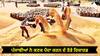 Punjab News: ਪੰਜਾਬੀਆਂ ਨੇ ਕਣਕ ਪੈਦਾ ਕਰਨ ਦੇ ਤੋੜੇ ਰਿਕਾਰਡ, ਪਿਛਲੇ ਸਾਲ ਨਾਲੋਂ 24 ਲੱਖ ਮੀਟ੍ਰਿਕ ਟਨ ਵੱਧ ਉਤਪਾਦਨ