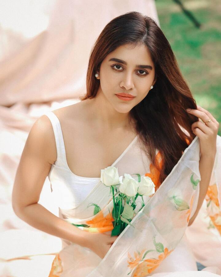 ఇస్మార్ట్ శంకర్ సినిమాతో మంచి గుర్తింపు సంపాదించుకుంది. Image Credit: Nabha Natesh/ Instagram