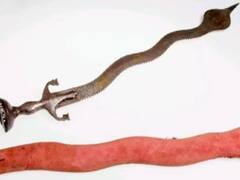 यूके से वापस आईं भारत की 7 धरोहरें पुराना किला स्थित संग्रहालय में की जाएंगी प्रदर्शित