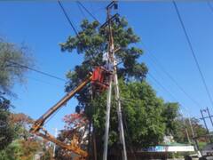 इंदौर में बदला मौसम, तेज हवाओं से गिरे 300 पेड़, कई जगह बिजली गुल